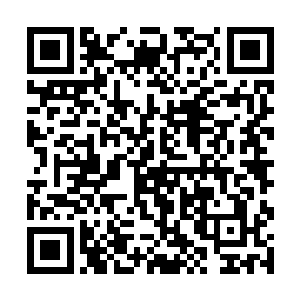 沈砚山的容貌是清雅如水墨画里走出来的人一般淡逸二维码生成