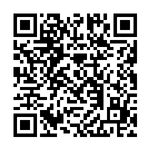 沈笑笑和曾小美她们在经历了他刚刚回归的激动之后二维码生成