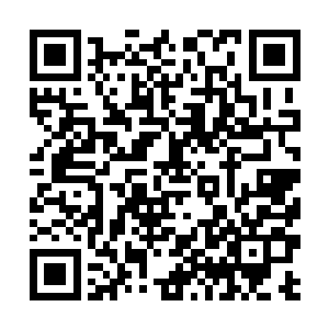 沈馥心里的幸福感仿如此刻站在煦暖的夏威夷海滩上二维码生成