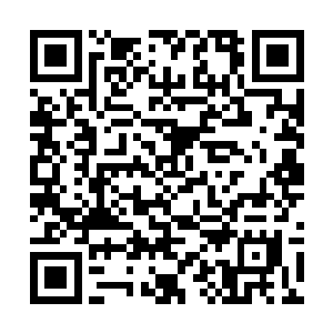 沈馥破天荒地在电话里跟边学道说这个结婚对象不错二维码生成