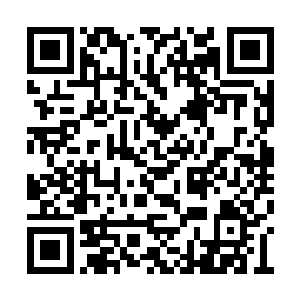 沉寂在身体里面的科莫音血脉和三级术士的气势二维码生成