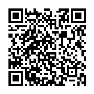 沉默严肃地等待着那个站在王座左侧的统领发布命令二维码生成