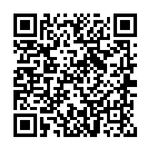 沏茶的水搜集的是金光城外山上松树顶部的积雪二维码生成