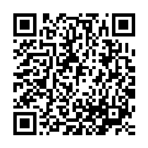 沐扬顿时感觉到墨景黎冷冽的眼神中流露出的恍若实质的杀意二维码生成