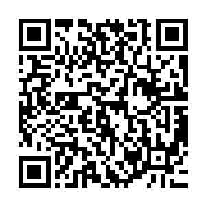 沐浴过一次温暖如春的风之后一直到大家伙的跟前都风平浪静的二维码生成
