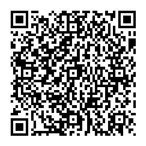 沒错你都说了是表面看起來关系不错呵呵昨晚我就该想到他因为投靠了诸葛鑫才坐上了副局长的位置二维码生成