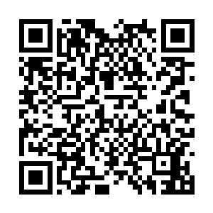 沙小凡又狠狠地朝着那个大地族修士的脸踢了一脚二维码生成