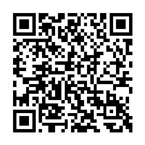 沙漠巨蝎也不会偷偷的到了离雷天那么近的地方二维码生成