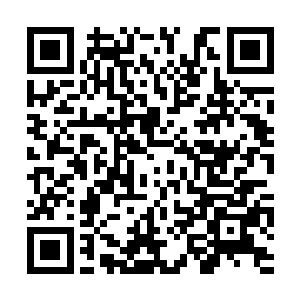 没人愿意冒着生命危险去得罪蛟龙强盗团的大当家二维码生成