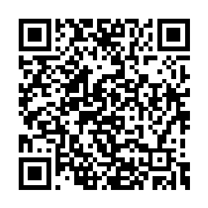 没人能逃脱在自相残杀中慢慢堕落和腐烂的绝境二维码生成