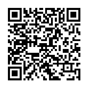 没什么登基准备的天子对司礼监和阁臣都不够信任二维码生成