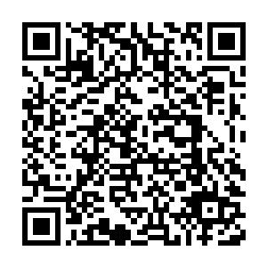 没先到这么快就将君无极找回来了只有将后面的行程都压缩一下了二维码生成