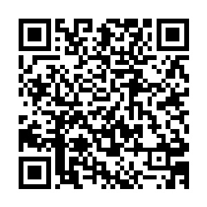 没准这个花子计划的是干脆直接将两个不同的古墨散人都除掉二维码生成