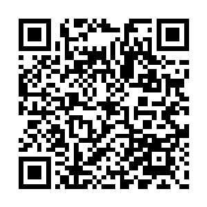 没准龙傲天还真的神光附体一路杀向竞技城顶端二维码生成