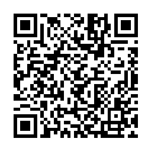 没发现另外跑步的两个男生竟然就是琳琅他们两兄弟二维码生成