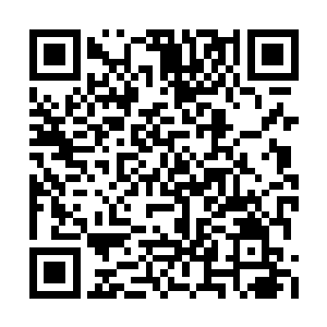 没吃晚饭琴瑟色饿的难受想出门去隔壁求助绿伊二维码生成