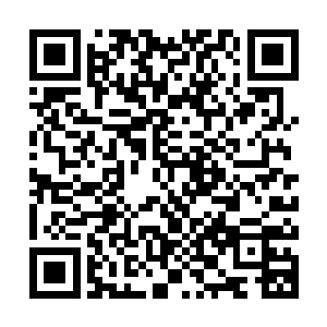 没多久方圆千米之内的所有大树便全部被他的霹雳飞剑给放倒了二维码生成