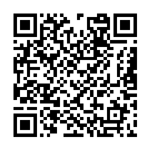 没必要因为候鸟议会的一个任务冒这么大的风险吧二维码生成