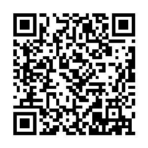 没想到主子在皇上的面前竟然是如此的毫无禁忌二维码生成