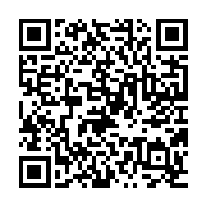 没想到九幽圣地之中除了九幽魔主之外竟然还有这等高手的存在二维码生成