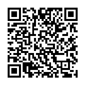 没想到二十四颗定海神珠竟然会带来如此劲爆的能力二维码生成