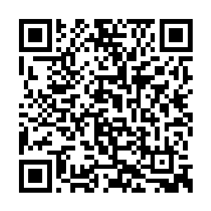 没想到今天和朋友夜游玉湖时遭到了人家的报复二维码生成