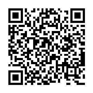 没想到今天果真有一个细皮嫩肉的高级女修飞来……二维码生成