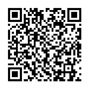 没想到他们本部落的危机是借助了外人的力量才化解的二维码生成
