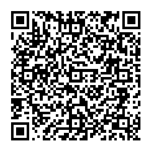 没想到会看到一群穿的破破烂烂的小孩子在一个少年人的带领下鬼鬼祟祟的往后面的小巷子里钻二维码生成