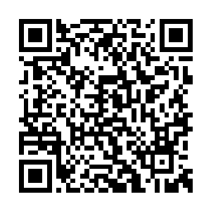没想到你那俊美出尘的师兄竟然还如此会整治人二维码生成