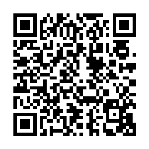 没想到几个远房亲戚家的孩子也敢在大庭广众之下侮辱小少爷二维码生成