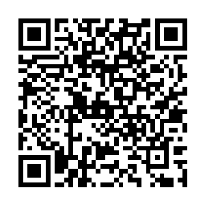 没想到凤红鸾却轻轻巧巧一句话就点破了他的虚实二维码生成