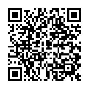 没想到啸天那个小家伙竟然有这么一个了不起的儿子二维码生成