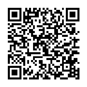 没想到在他眼里p都不是的苍狼天涯竟然也成了气候二维码生成