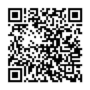 没想到在这里可以见到他们的真身……即使是分身二维码生成