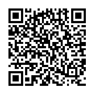 没想到对方的闪避速度竟然达到了皇级机甲理论上的极限二维码生成