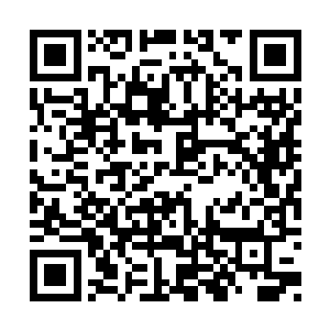 没想到对方骨子里竟还有着一种绝不服输的性格二维码生成