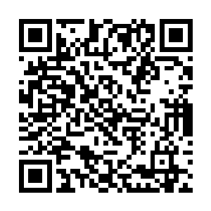 没想到小楼这一下的劲力根本不是他想像的那么简单二维码生成