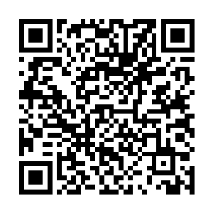 没想到当年竟然只是以金丹期的为修为去参加试炼之地二维码生成