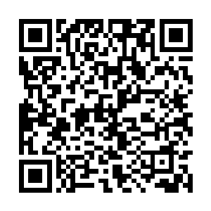没想到我们竟然这么轻松的就拿下了禹阳公司了啊二维码生成