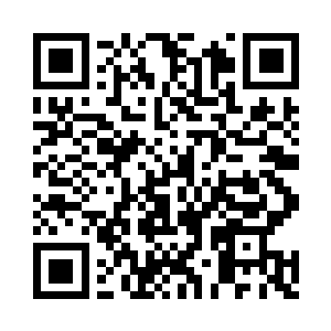 没想到我斩杀的这只噬生兽王竟然还有后台二维码生成