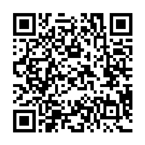 没想到教廷这么多年竟然收集了如此多的光明体质的人二维码生成