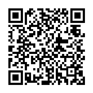 没想到昨天吃下的铁胎果居然是他此生所能吃到的最后一颗二维码生成