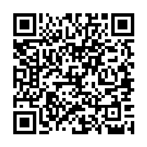 没想到是这个平时靠不住的家伙起到了最大的作用二维码生成