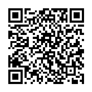 没想到现在史蒂文就已经看出了未来漫画改变的趋势二维码生成