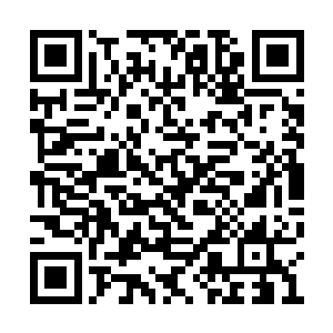 没想到现在就是要自己偿还宗门培养庇护之恩了二维码生成