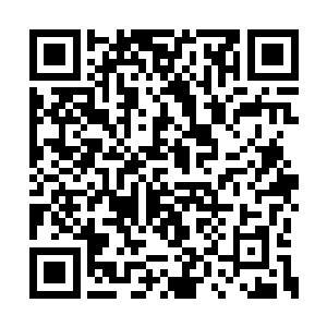 没想到现在竟然亲眼看到了赵长枪施展这门医术二维码生成