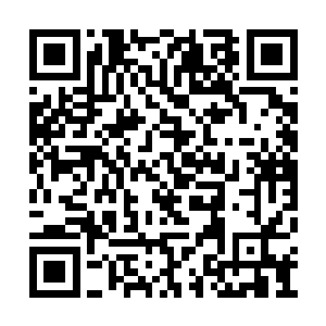 没想到神界竟然还有如此恐怖的炼丹高手的存在二维码生成