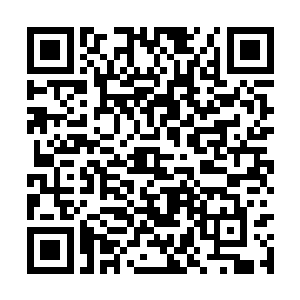 没想到终于有机会或者说有资格承蒙主神大人亲自二维码生成
