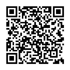 没想到自己一开口就变成了千机真人口中的那啥二维码生成